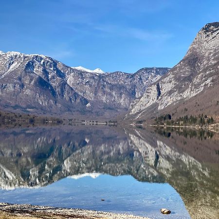 ボーヒニMountain View In Triglav National Parkアパートメント エクステリア 写真