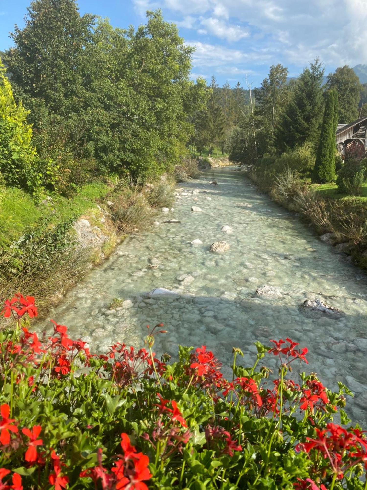 ボーヒニMountain View In Triglav National Parkアパートメント エクステリア 写真