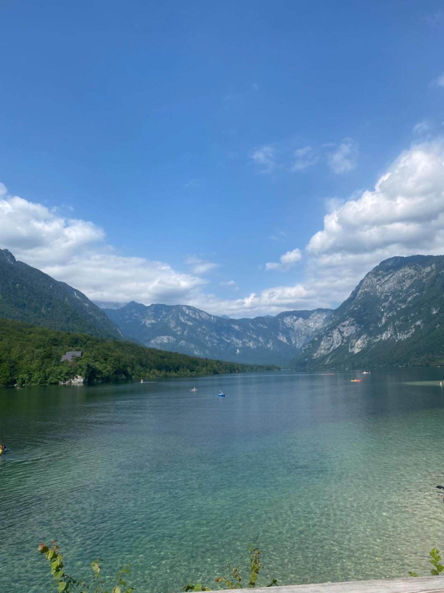 ボーヒニMountain View In Triglav National Parkアパートメント エクステリア 写真