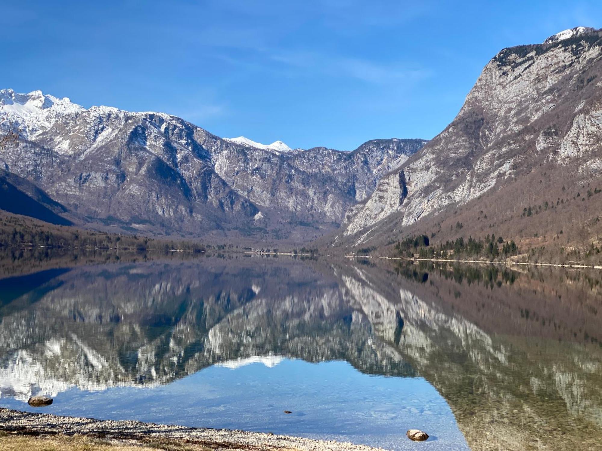 ボーヒニMountain View In Triglav National Parkアパートメント エクステリア 写真